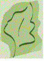 United Nations Forum on Forests - Youth and Children