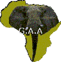 GREAT AFRICAN ACHIEVERS