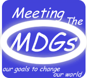 Meeting The MDGs