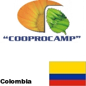 Producción F1 de Plantas Aromáticas y Medicinales