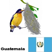 Tejedores Kanchun