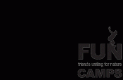 FUN Camps