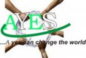 Africa Youth Empowerment Scheme