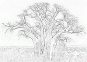 The Knowledge Society Foundation