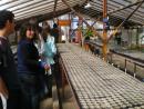 recorrido por el...