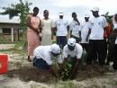 Tanzania Country Coordinator Ms. Kaanaeli Kaale and Nakasangwe Primary School Teacher Mr. Norbert Luambano plants a  tree at Nakasangwe School.
