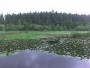 Stanley Park Pond