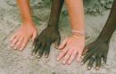Ontmoet Afrika