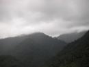 el bosque nublado - Nebelwald