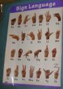 The SIgn Language...