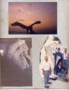 El aguila frente...