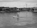 catatumbo