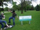 Walking on the Grass - Toronto Island