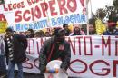 Manifestazione 2
