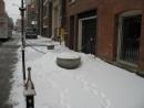 snowy day