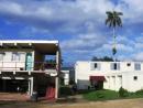 Moneague College...