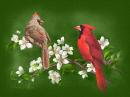 It's a part of our nature feature