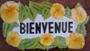 Bienvenue à tous...