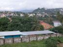 Freetown!