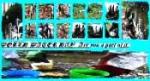 Global Youth Achievements Initiatives Profiler