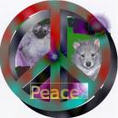 Peace by Marcki