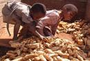 kids_potatoes_freetown