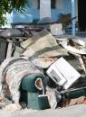 Englerston Urban Renewal Centre Launches Major Clean Up Campaign
