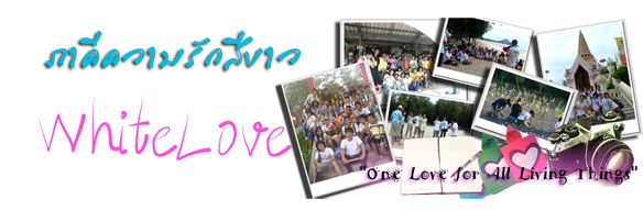 WHITELOVE's   Blog