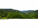 Rice Terraces, Banaue, Philippines