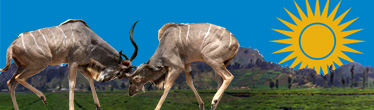 Country Image