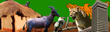 Country Image