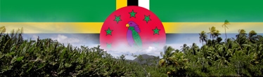 Country Image