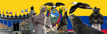 Country Image