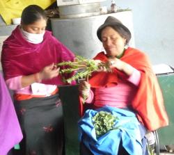La medicina natural para incidir políticamente 