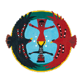 International Institute for Child Rights and Development