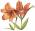 Malathe