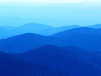 The Blue Mountains