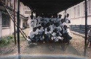 Cross section of cleaning participants at Cconnaught Hospital