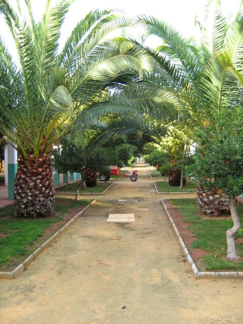 inside ceulaj