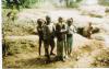 No to poverty- AYPAD Org.
