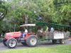 Tractor Tour