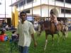 Paseos a Caballo