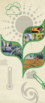 International Day for Biological Diversity